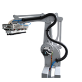 YSR-2-120-F Series Multi-axls Industry Robot